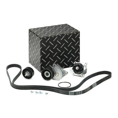 Water pump + serpentine belt kit RIDEX 4172P0088 4172P0088 - photo 2