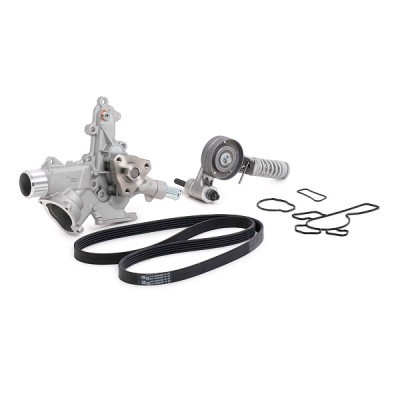 Water pump + serpentine belt kit RIDEX 4172P0087 4172P0087 - photo 3