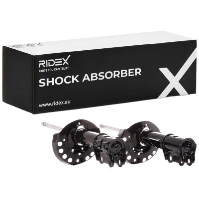 Shock Absorber RIDEX 854S2309 854S2309 - photo 2