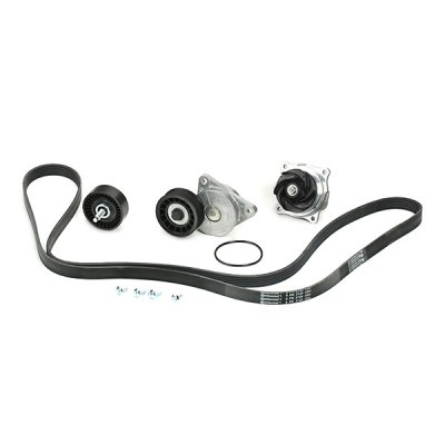 Water pump + serpentine belt kit RIDEX 4172P0088 4172P0088 - photo 3