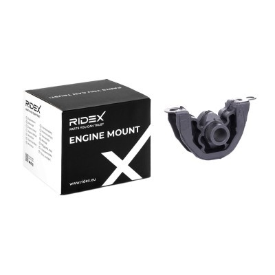 Engine Mounting RIDEX 247E0211 247E0211 - photo 2