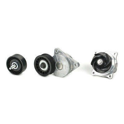 Water pump + serpentine belt kit RIDEX 4172P0088 4172P0088 - photo 4