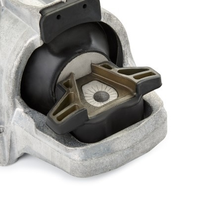Engine Mounting RIDEX 247E0670 247E0670 - photo 5