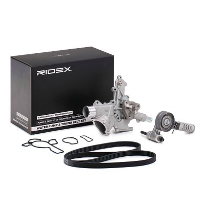 Water pump + serpentine belt kit RIDEX 4172P0087 4172P0087 - photo 2