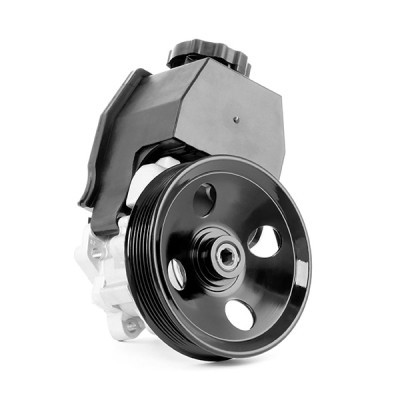 Hydraulic Pump, Steering System RIDEX 12H0026 12H0026 - photo 5