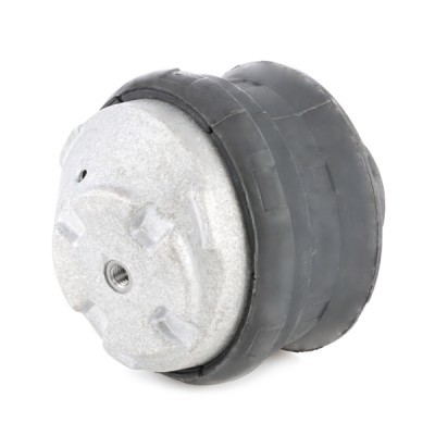 Engine Mounting RIDEX 247E0002 247E0002 - photo 3