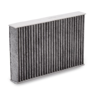 Cabin Air Filter RIDEX 424I0421 424I0421 - photo 11