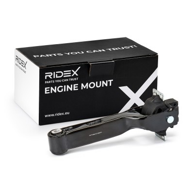 Engine Mounting RIDEX 247E0349 247E0349 - photo 2