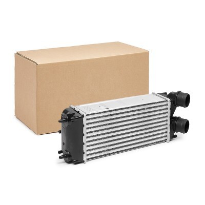 Intercooler, Charger RIDEX 468I0305 468I0305 - photo 2