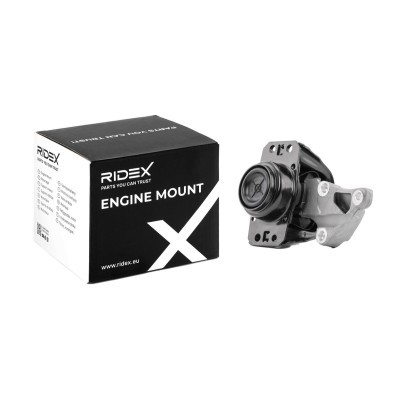 Engine Mounting RIDEX 247E0222 247E0222 - photo 2