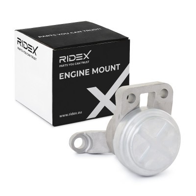 Engine Mounting RIDEX 247E0387 247E0387 - photo 2