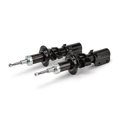 Shock Absorber RIDEX 854S18287 854S18287 - photo 3