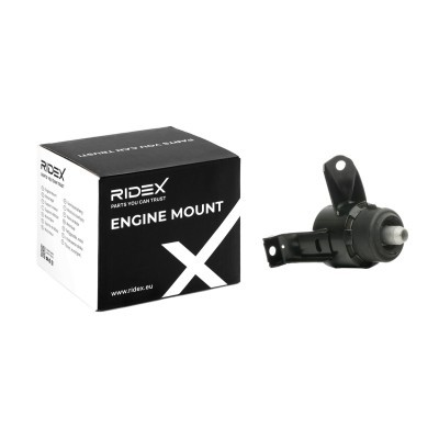 Engine Mounting RIDEX 247E0410 247E0410 - photo 2