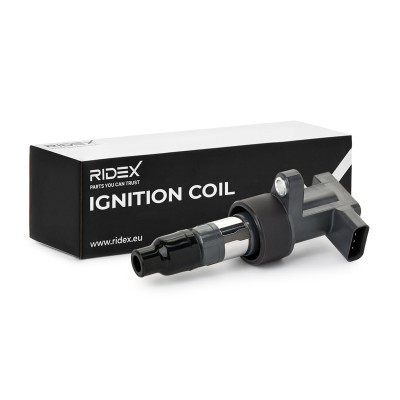 Ignition Coil RIDEX 689C0055 689C0055 - photo 2