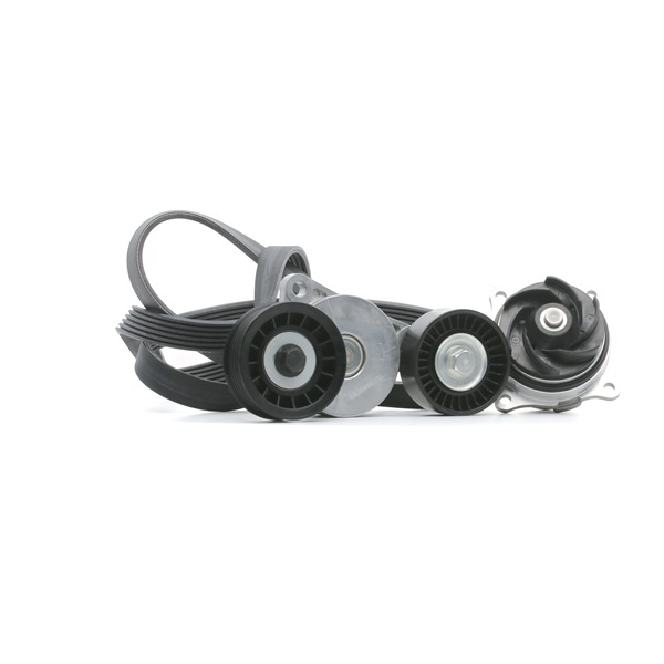 Water pump + serpentine belt kit RIDEX 4172P0088 4172P0088 - photo 1