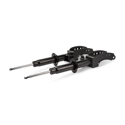 Shock Absorber RIDEX 854S2133 854S2133 - photo 2