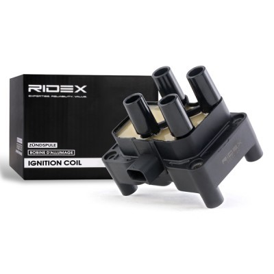 Ignition Coil RIDEX 689C0022 689C0022 - photo 2