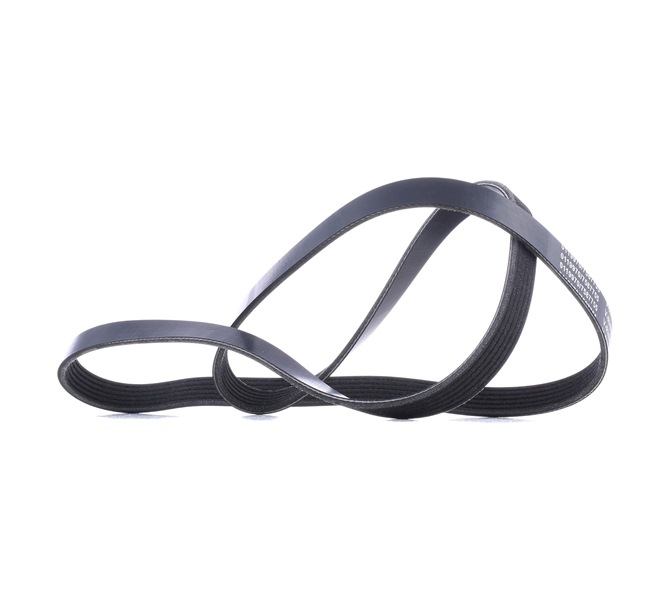 V-Ribbed Belt Stark SK-6PK1555 SK-6PK1555 - photo 1
