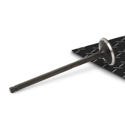 Exhaust Valve RIDEX 1270O0021 1270O0021 - photo 1