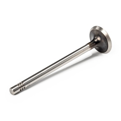 Exhaust Valve RIDEX 1270O0002 1270O0002 - photo 7