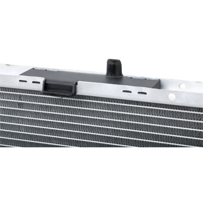 Radiator, Engine Cooling RIDEX 470R0384 470R0384 - photo 9