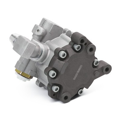 Hydraulic Pump, Steering System RIDEX 12H0894 12H0894 - photo 4
