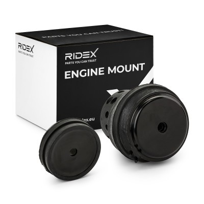 Engine Mounting RIDEX 247E0828 247E0828 - photo 2