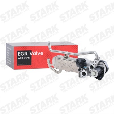 EGR module Stark SKEGM-4810002 SKEGM-4810002 - photo 2