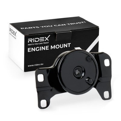 Engine Mounting RIDEX 247E0601 247E0601 - photo 2
