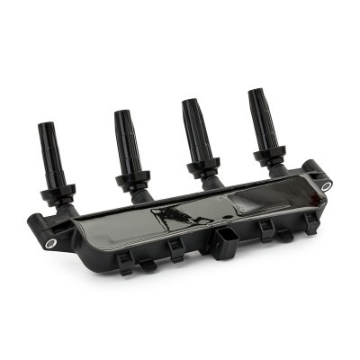 Ignition Coil RIDEX 689C0091 689C0091 - photo 5