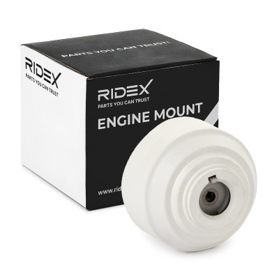 Engine Mounting RIDEX 247E0755 247E0755 - photo 2