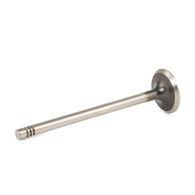Exhaust Valve RIDEX 1270O0019 1270O0019 - photo 3
