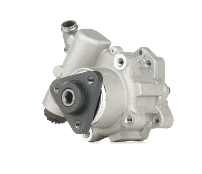 Hydraulic Pump, Steering System RIDEX 12H0110 12H0110 - photo 1