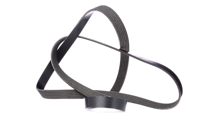 V-Ribbed Belt Stark SK-6PK2080 SK-6PK2080 - photo 1