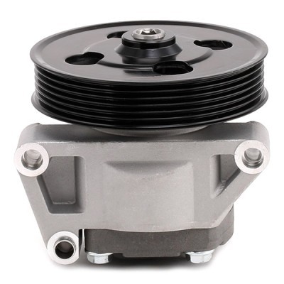Hydraulic Pump, Steering System RIDEX 12H0123 12H0123 - photo 5
