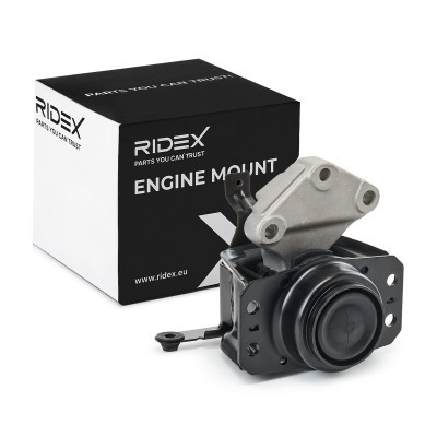 Engine Mounting RIDEX 247E0923 247E0923 - photo 2