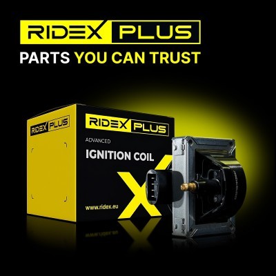 Ignition Coil RIDEX 689C0348P 689C0348P - photo 15