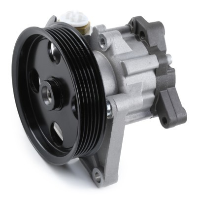 Hydraulic Pump, Steering System RIDEX 12H0133 12H0133 - photo 4