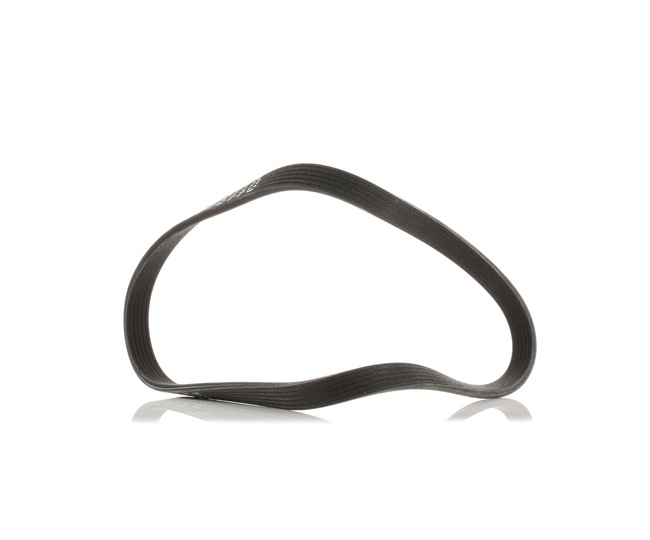 V-Ribbed Belt Stark SK-6PK1195 SK-6PK1195 - photo 1