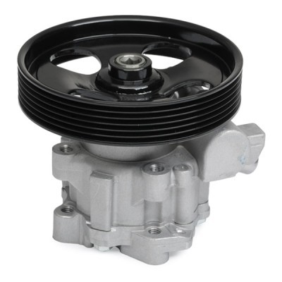 Hydraulic Pump, Steering System RIDEX 12H0019 12H0019 - photo 6
