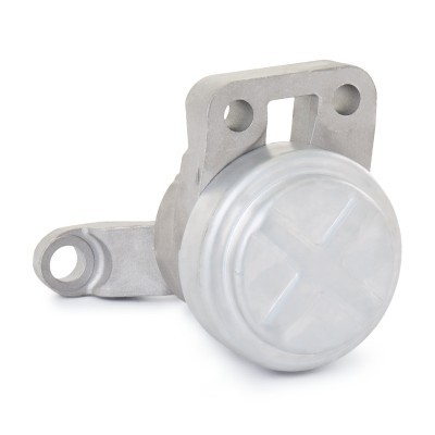 Engine Mounting RIDEX 247E0387 247E0387 - photo 3