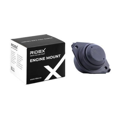 Engine Mounting RIDEX 247E0286 247E0286 - photo 2
