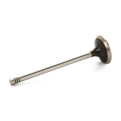 Exhaust Valve RIDEX 1270O0007 1270O0007 - photo 2