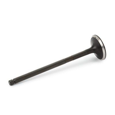 Exhaust Valve RIDEX 1270O0021 1270O0021 - photo 2