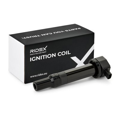 Ignition Coil RIDEX 689C0134 689C0134 - photo 2