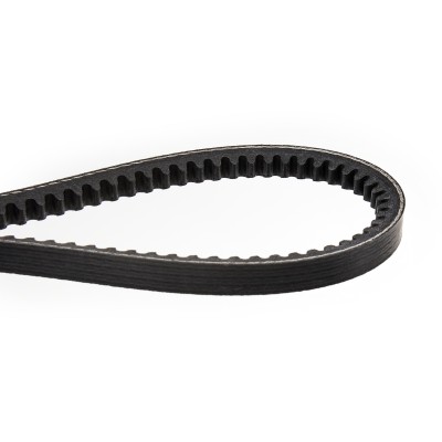 V-Belt RIDEX 10C0005 10C0005 - photo 4