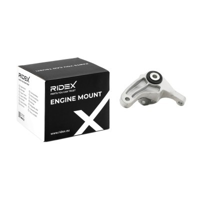 Engine Mounting RIDEX 247E0254 247E0254 - photo 2