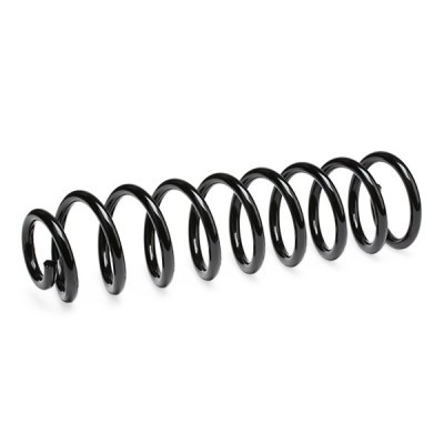 Suspension Spring RIDEX 188C0576 188C0576 - photo 3