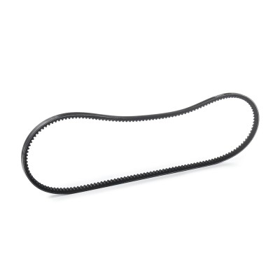 V-Belt RIDEX 10C0022 10C0022 - photo 5