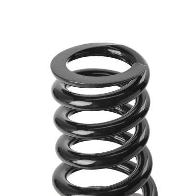 Suspension Spring RIDEX 188C0412 188C0412 - photo 3